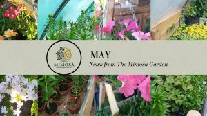 gardener high wycombe